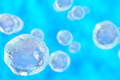 stem cell regenerative medicine